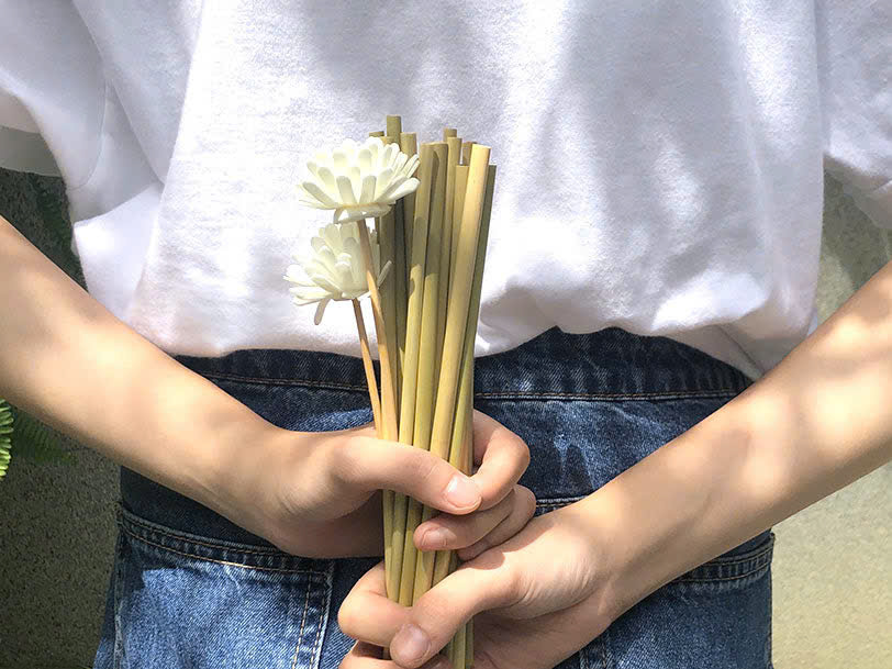 Người trẻ Việt và lối sống xanh: làm sao để bắt đầu mà không 'áp lực'?